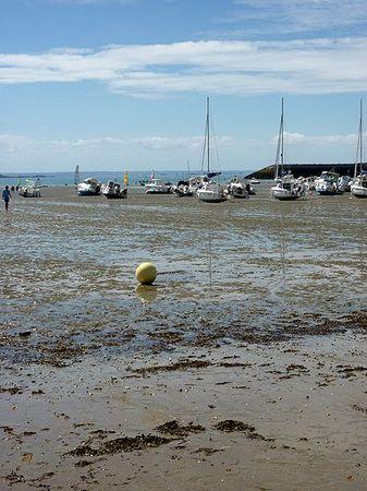 LES POULETTES A ERQUY (22) Erquy50