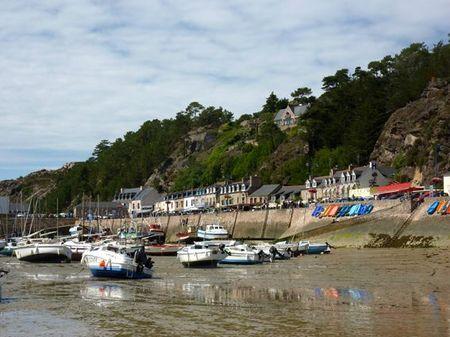 LES POULETTES A ERQUY (22) Erquy58