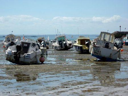 LES POULETTES A ERQUY (22) Erquy67