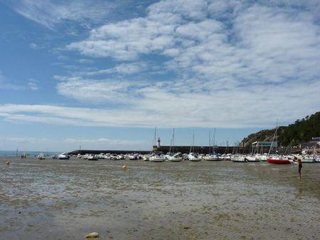 LES POULETTES A ERQUY (22) Erquy45