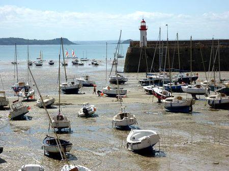 LES POULETTES A ERQUY (22) Erquy75