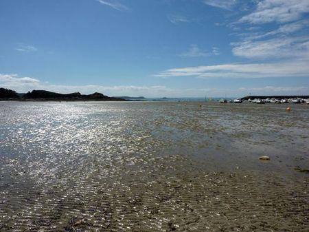 LES POULETTES A ERQUY (22) Erquy44