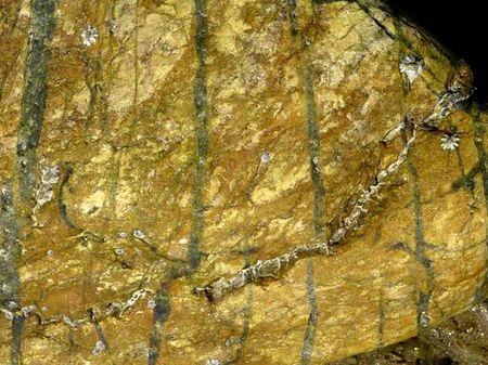 LES POULETTES A ERQUY (22) Erquy33