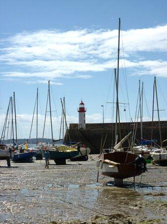 LES POULETTES A ERQUY (22) Erquy76