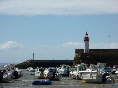 LES POULETTES A ERQUY (22) Erquy60