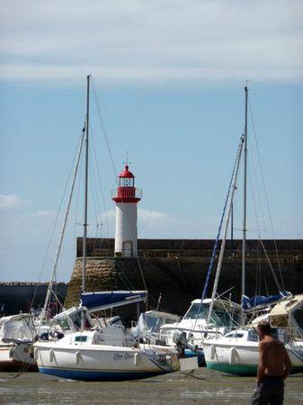 LES POULETTES A ERQUY (22) Erquy51