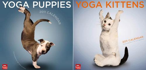 yoga des chiens yoga des chiens