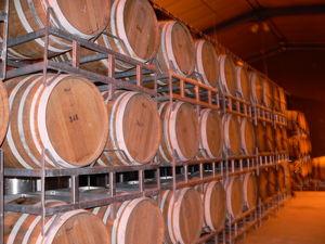 Juste un goût très sucré ...le Cassissium Bourgogne_2__jour_094