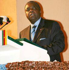 Présidentielle 2011: René Sadi attire des foules à Mbalmayo