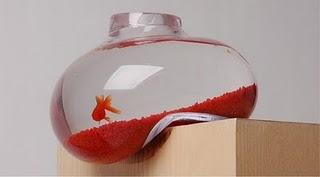 Le poisson rouge de Dali?!