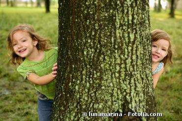 Selon la FAO, les arbres procurent du bien-être aux citadins !