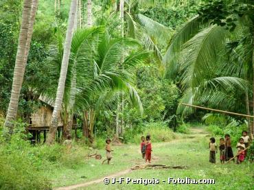 Biodiversité : pourquoi il faut protéger les forêts tropicales indonésiennes