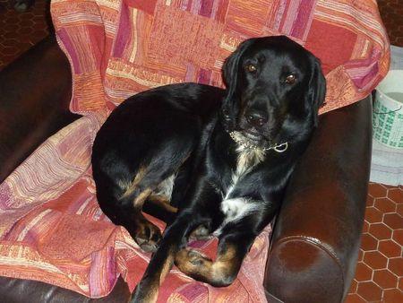 Mon morceau de pain P1100236