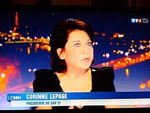 2012 : À quoi rime la nouvelle candidature de Corinne Lepage ? yartiLepage201106