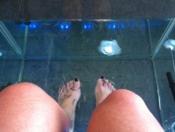 Comme un poisson dans l'eau à Héraklion – le Fish Spa, une spécialité crétoise ! fish-spa-heraklion.jpg