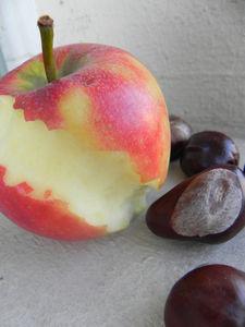 C'est dimanche c'est fini DSCN4318