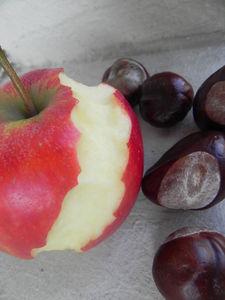 C'est dimanche c'est fini DSCN4317