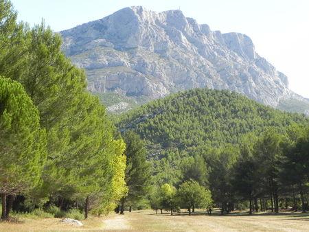 Sainte victoire DSCN4069