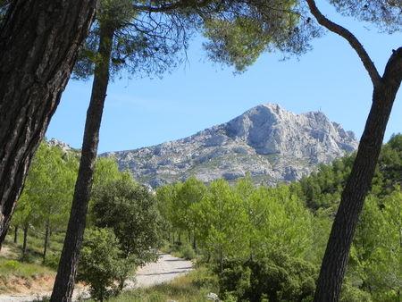 Sainte victoire DSCN4084