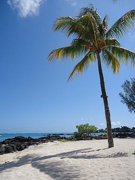 De retour... DSC00561.JPG