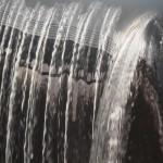 deniseguilloux extrait expos photos