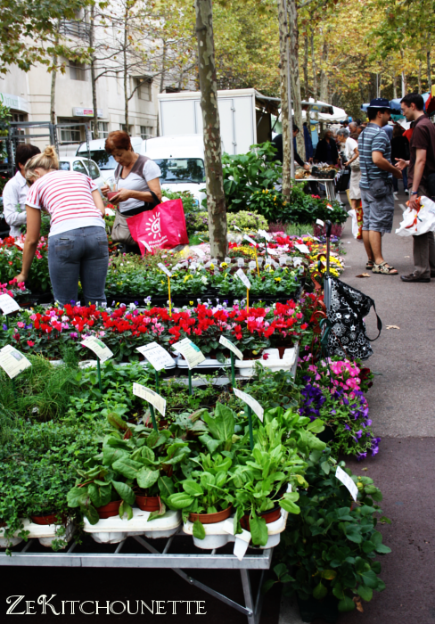 marche2 Le tour des marchés de Montpellier (part.1)