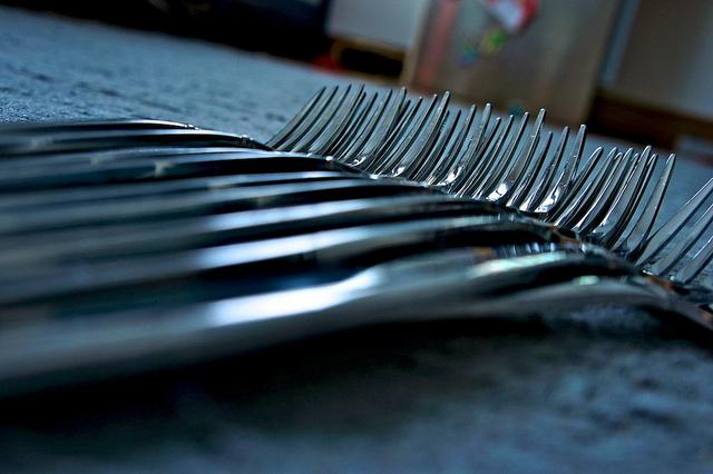 Vérités insoupconnées sur les fourchettes et leur mode de vie DSC02995