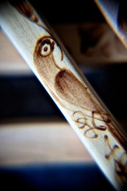 Vérités insoupconnées sur les fourchettes et leur mode de vie DSC03039