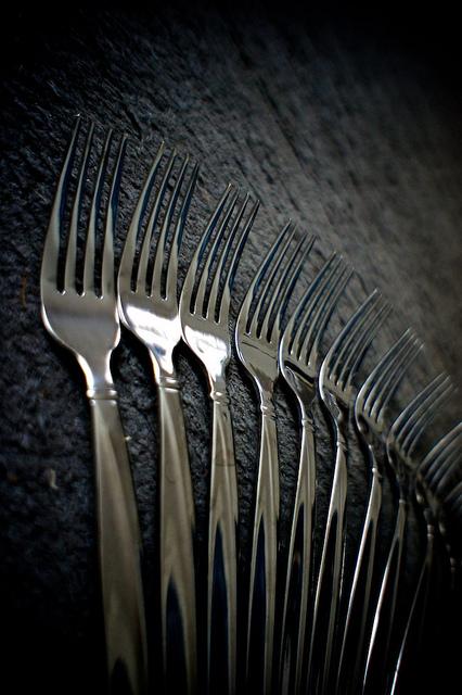 Vérités insoupconnées sur les fourchettes et leur mode de vie DSC02968