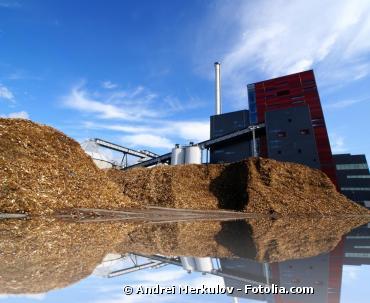 Le ministère de l'Ecologie accélère le développement de la biomasse