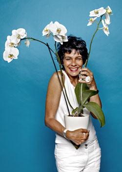 j-aime-plantes-1 plantes vertes