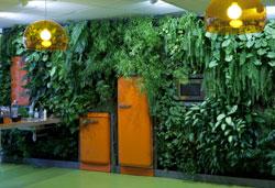 j-aime-plantes-2 plantes vertes