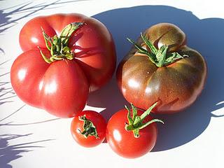 Mes variétés de tomates