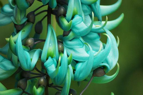 Week-end tropical Week-end tropical