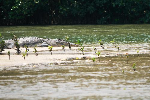 Week-end tropical Week-end tropical