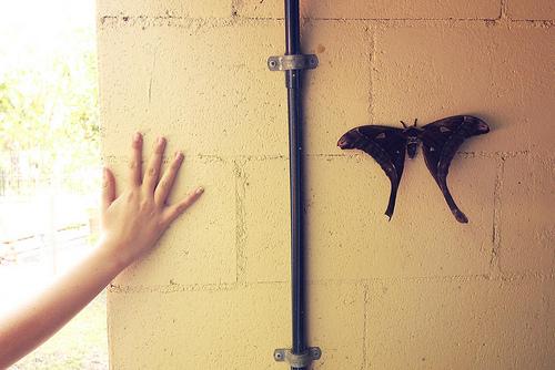 Week-end tropical Week-end tropical