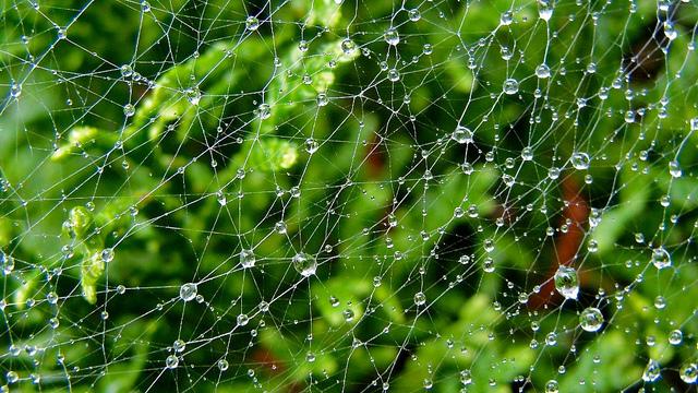 Projet 52 - Semaine 40 DSC03935