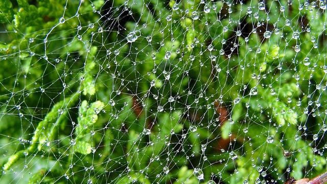 Projet 52 - Semaine 40 DSC03962