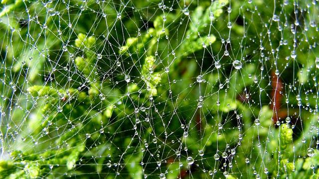 Projet 52 - Semaine 40 DSC03949