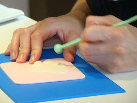Les prochains cours -formation Wilton : pâte à sucre, poche à douille, personnage DSC02101