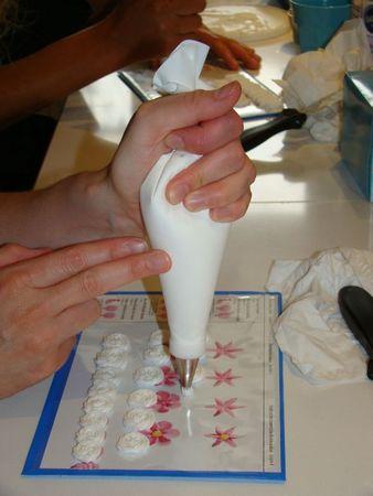 Les prochains cours -formation Wilton : pâte à sucre, poche à douille, personnage DSC02003