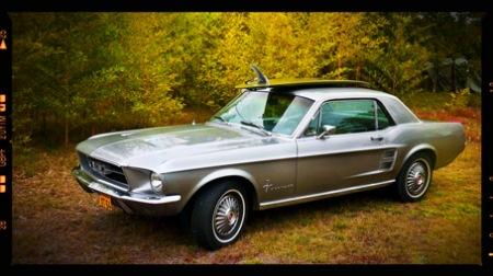 tang1_sm My sweetest Nightmare is back