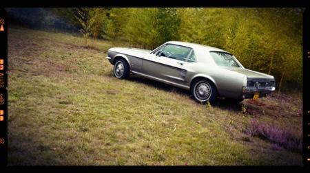 tand2 My sweetest Nightmare is back