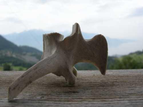 Ceux qui fêtent la plasticienne Panopticon68.jpg