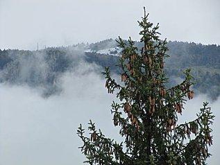 Blagounettes neige-le-09.10.2011.JPG