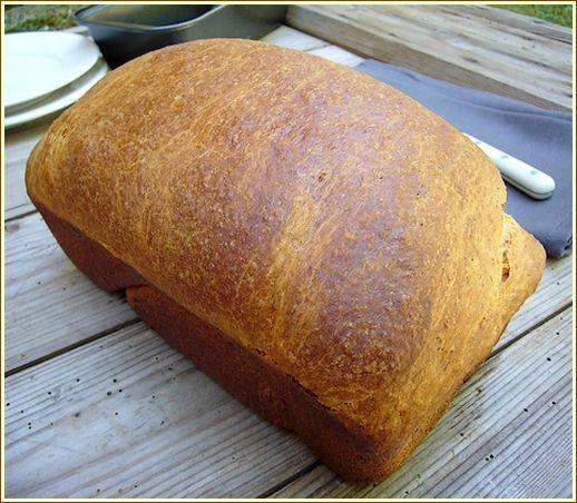 La brioche sans pétrissage de Carole presentatıon brioche1