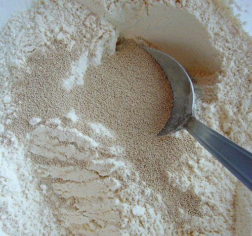 La brioche sans pétrissage de Carole brıoche de carole2