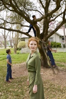 [Critique Blu-Ray] The tree of life