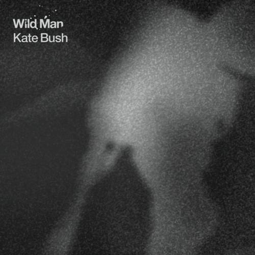 Le (vrai) retour de Kate Bush avec le premier single de son nouvel album, « Wild Man »