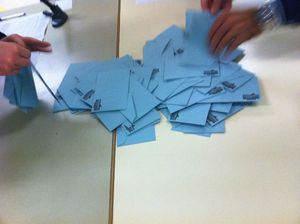 Résultats de la Primaire Citoyenne dans le Haut-Rhin IMG_0732